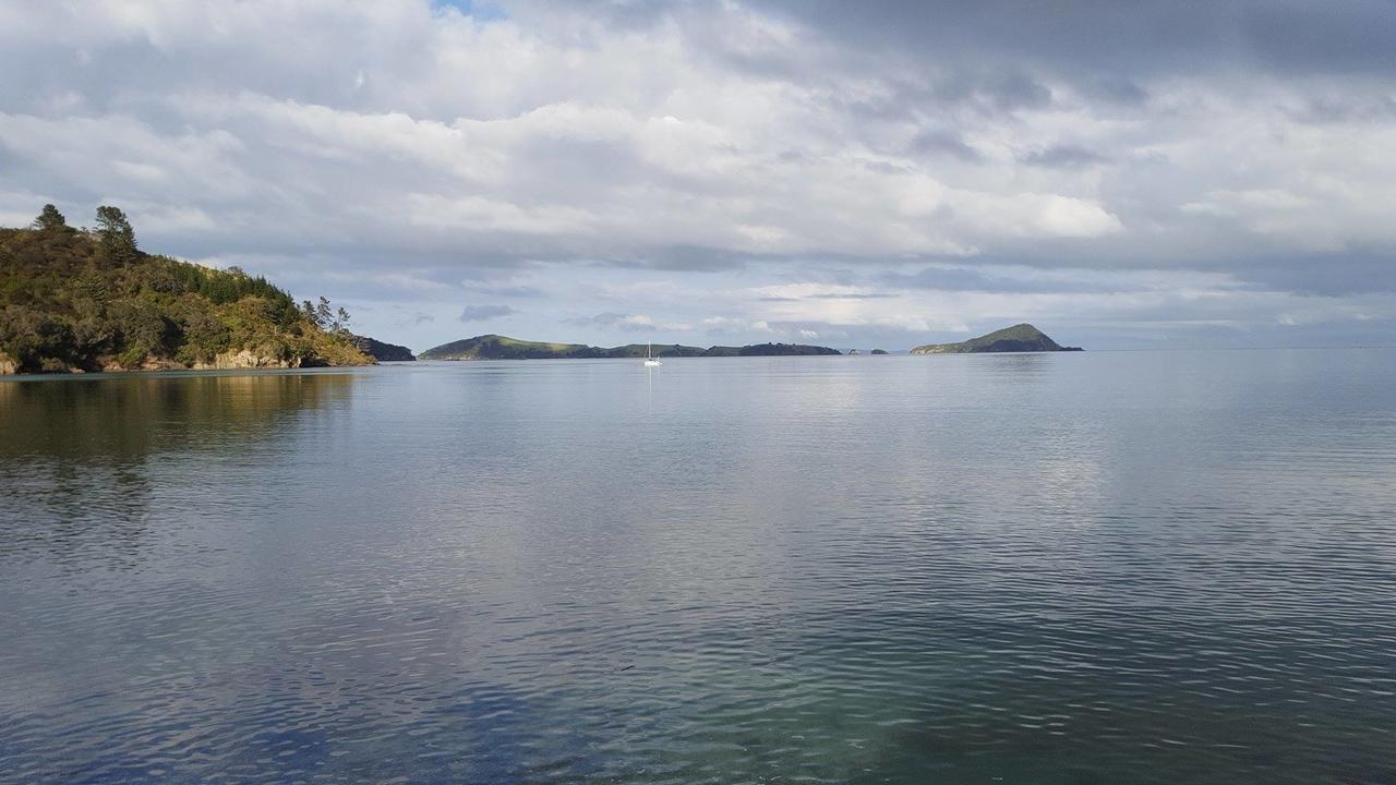 Отель Long Bay Motor Camp Coromandel Экстерьер фото